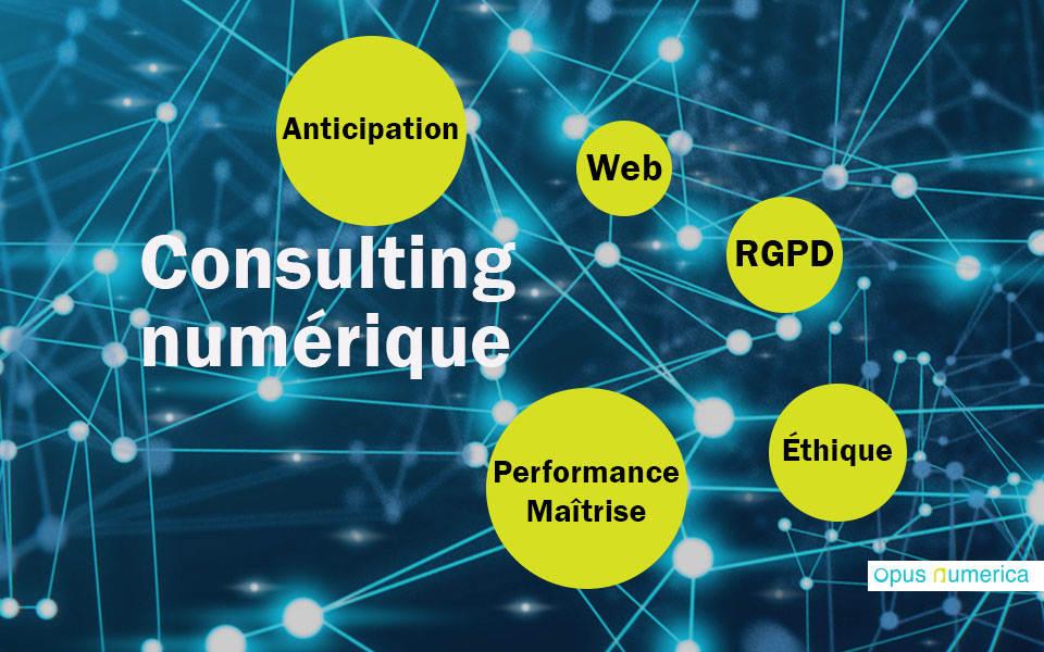 CONSEIL SERVICES NUM RIQUES SOLUTIONS visual data 7